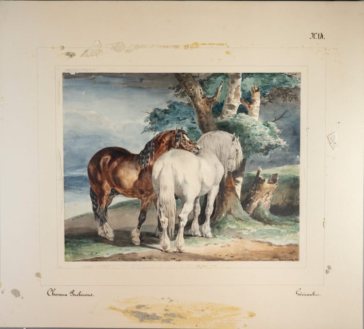 (Détail sur signature) Théodore Géricault, Rouen 1791 - Paris 1824, Chevaux au pâturage, ou le cheval baie et le cheval blanc, Plume, encre noire et aquarelle. Collé sur feuille (petit manque à gauche), Signé ou annoté en bas à droite à la plume et encre brune, Annoté à la plume sur la feuille de support en bas à droite Géricault, en haut N° 14, et en bas à gauche Chevaux Percherons, Hauteur : 25,3 - Longueur : 31,5 cm, Ancienne collection C. du Soulier ; resté dans la descendance jusqu’à ce jour. Estimation : 20 000 euros - 30 000 euros.